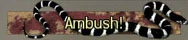 Ambush How To Get Titles and Emblems in Modern Warfare 2