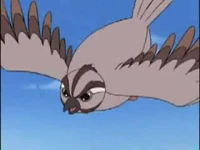 Bigwing