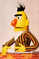 Cgpuppet-bert