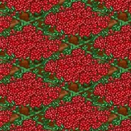 100PercentCranberries