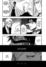 Bleach cover 337