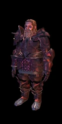 Dragonbone armor