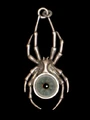 Glass eye.jpg