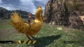 Chocobo.jpg