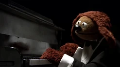 Bohemianrowlf