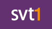 SVT1 logo 2008