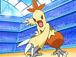 Combusken de Aura.