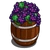 Barrel of Grapes-icon
