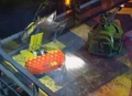 Firestorm v Dantomkia.jpg