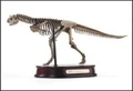 Carnotaurus skeleton