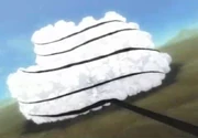 Shadow membrane
