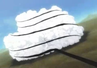 Shadow membrane