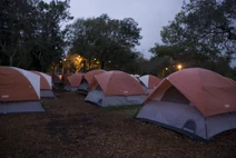 Tentsatpinellashope
