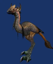 Taurentallstrider