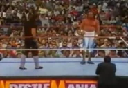 Undertaker WM 8