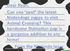The Dalmatian letter