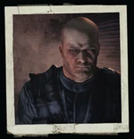Lazarevic MP skin