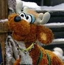 Reindeer