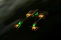 Lyran-Wildcat.jpg