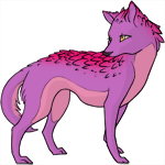 Kangur1.gif