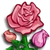 Pink Rose-icon