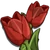 Red Tulip-icon