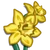 Daffodil-icon