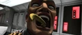 Trap infected.jpg
