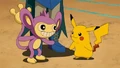 P08 Aipom.png