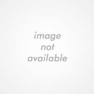 Noimage-big