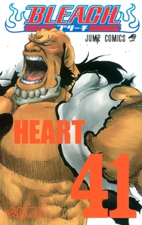 Bleach cover 41