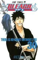 Bleach cover 30