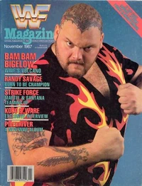 November 1987 - Vol. 6, No. 11