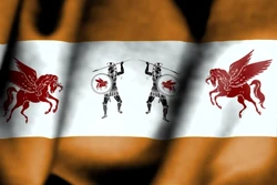 Troy flag.jpg