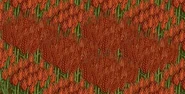Fertilized red wheat