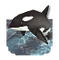 Colossal Whale