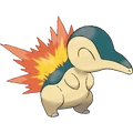 155Cyndaquil