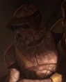 Trapper.JPG