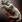 Plt ico wolf pelt