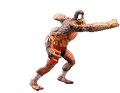 Goro8