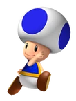 NSMBΩBlueToad