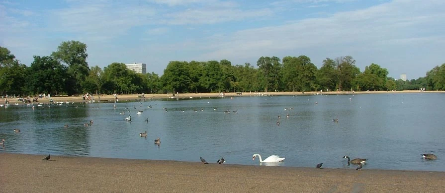 AS RPond.jpg