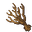 Dry Solstice Tree