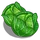 Cabbage-icon