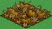 Pumpkin withered