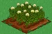 Carrot 66