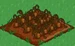 Carrot withered