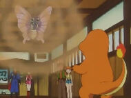 http://images3.wikia.nocookie.net/__cb20091219203405/es.pokemon/images/thumb/5/59/EP032_Venomoth_usando_paralizador_contra_Charmander.jpg/190px-EP032_Venomoth_usando_paralizador_contra_Charmander.jpg