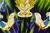 Majin Vegeta ssj2