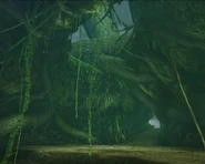 TreeApex1